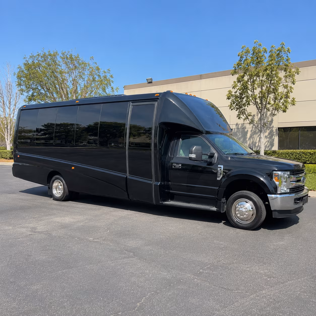 Group beside a Mercedes Sprinter limo in Brockton