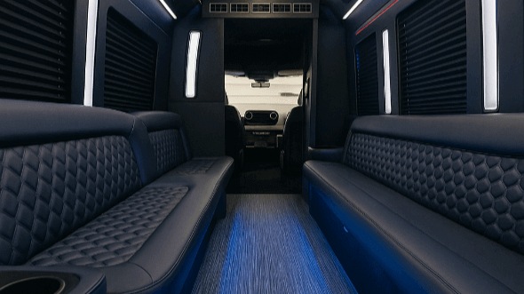 30 passenger party bus interior