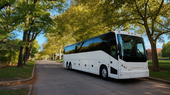 white plains wedding transportation